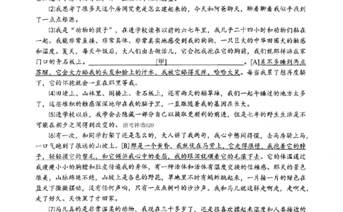 语文卷-2604温州一模_中考押题2026《中考押题》系列（9科全套实时更新中）_浙江2026版中考《浙江一模二模》多地区全套（浙江）_2604温州一模