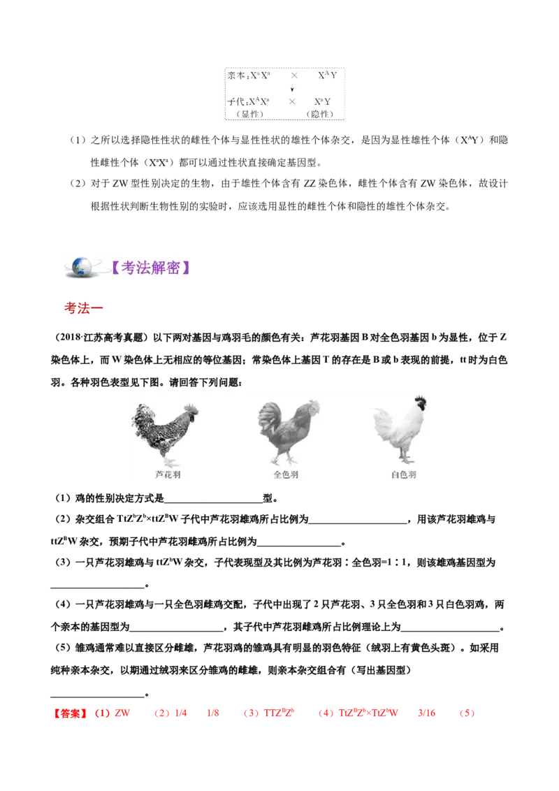 解密12人类遗传病及伴性遗传（讲义）-高频考点解密2021年高考生物二轮复习讲义+分层训练_新高考复习资料_2021年新高考资料