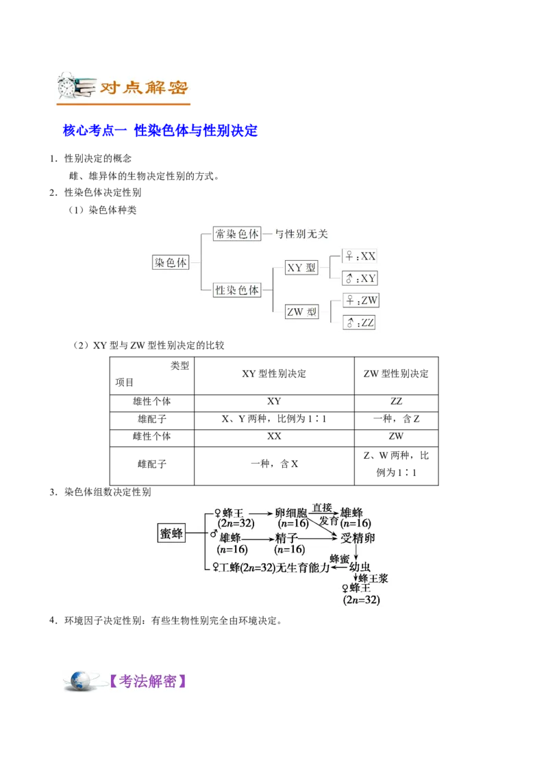 解密12人类遗传病及伴性遗传（讲义）-高频考点解密2021年高考生物二轮复习讲义+分层训练_新高考复习资料_2021年新高考资料