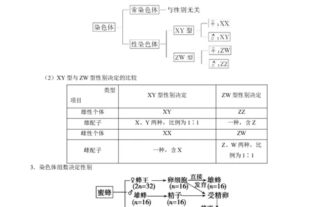 解密12人类遗传病及伴性遗传（讲义）-高频考点解密2021年高考生物二轮复习讲义+分层训练_新高考复习资料_2021年新高考资料