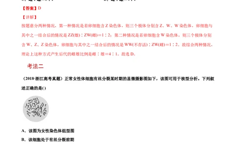 解密12人类遗传病及伴性遗传（讲义）-高频考点解密2021年高考生物二轮复习讲义+分层训练_新高考复习资料_2021年新高考资料