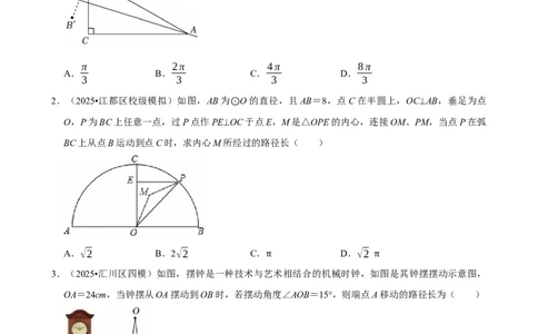 轨迹_中考押题2026《中考押题》系列（9科全套实时更新中）_2026版中考《菁优系列》趋势分析+押题密卷+抢分秘籍+模拟考试_0022026年菁优中考数学趋势分析汇编_考点篇