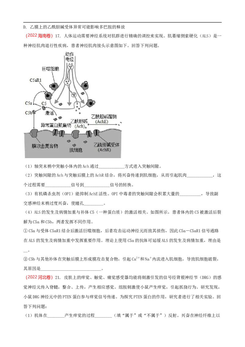 解密11神经调节（讲义)（学生版）_通用版（老高考）复习资料_2023年复习资料_二轮复习_高频考点解密2023年高考生物二轮复习讲义+分层训练（全国通用）