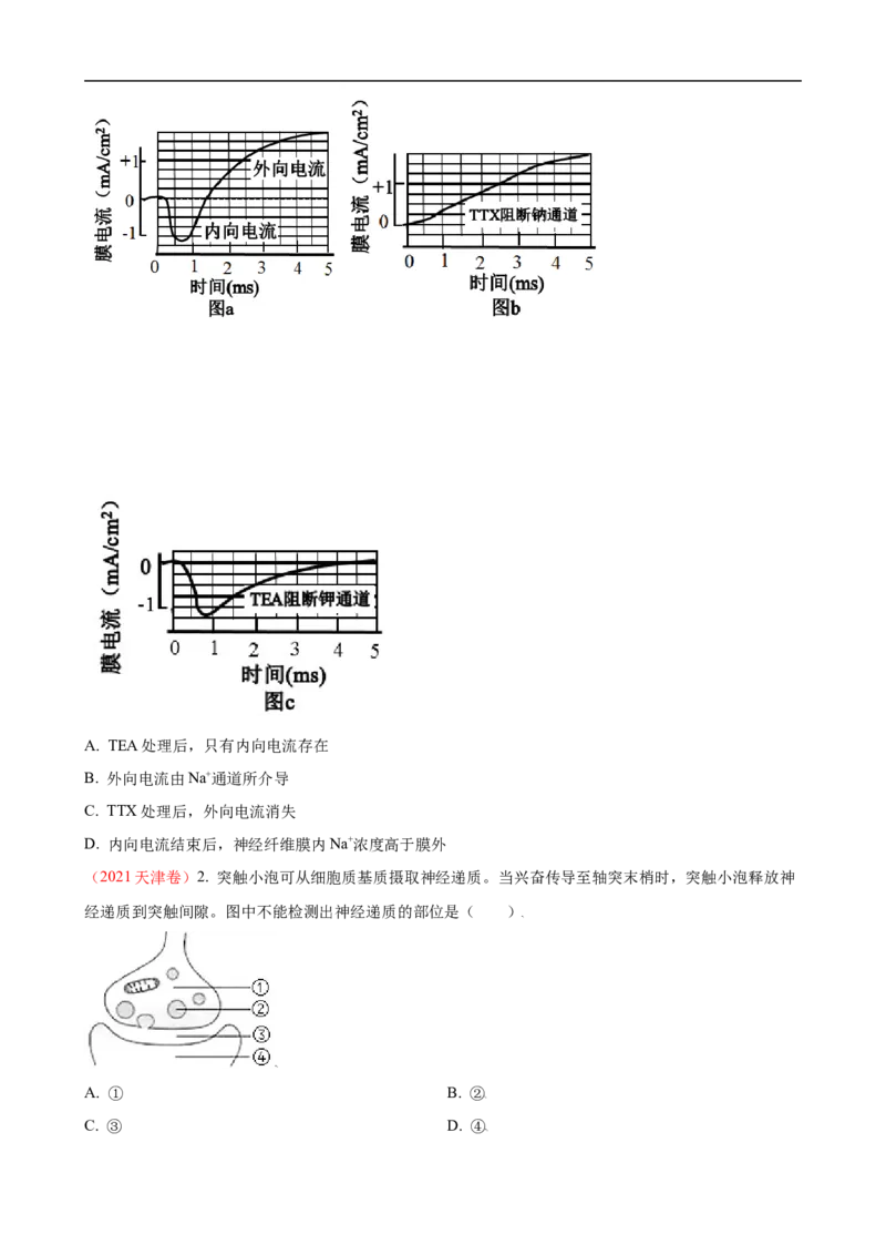 解密11神经调节（讲义)（学生版）_通用版（老高考）复习资料_2023年复习资料_二轮复习_高频考点解密2023年高考生物二轮复习讲义+分层训练（全国通用）