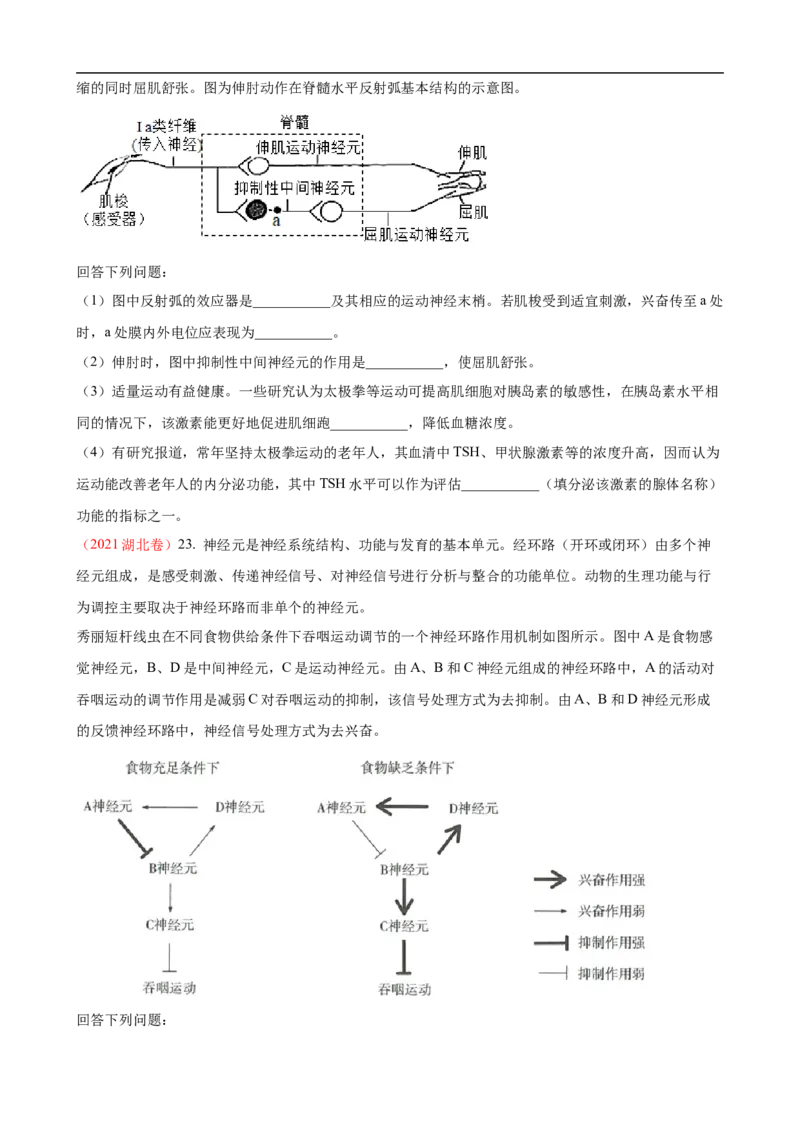 解密11神经调节（讲义)（学生版）_通用版（老高考）复习资料_2023年复习资料_二轮复习_高频考点解密2023年高考生物二轮复习讲义+分层训练（全国通用）