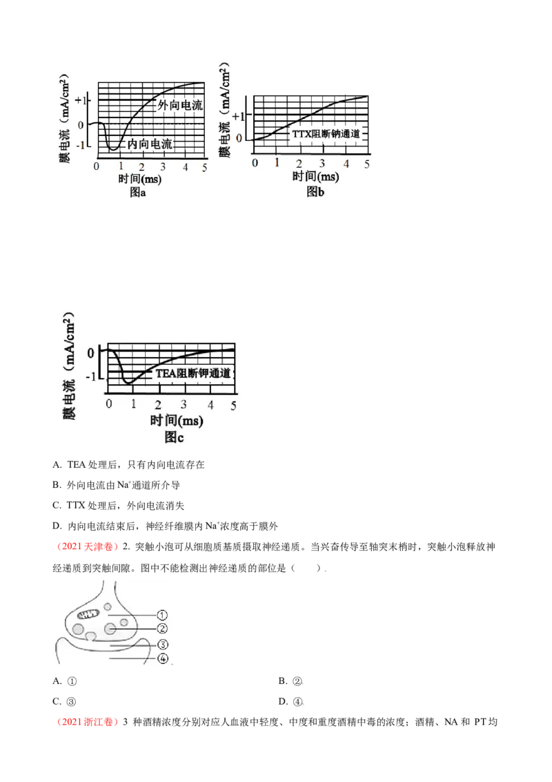 解密11神经调节（讲义)（学生版）_新高考复习资料_2023年新高考复习资料_二轮复习_高频考点解密2023年高考生物二轮复习讲义+分层训练（全国通用）288808838
