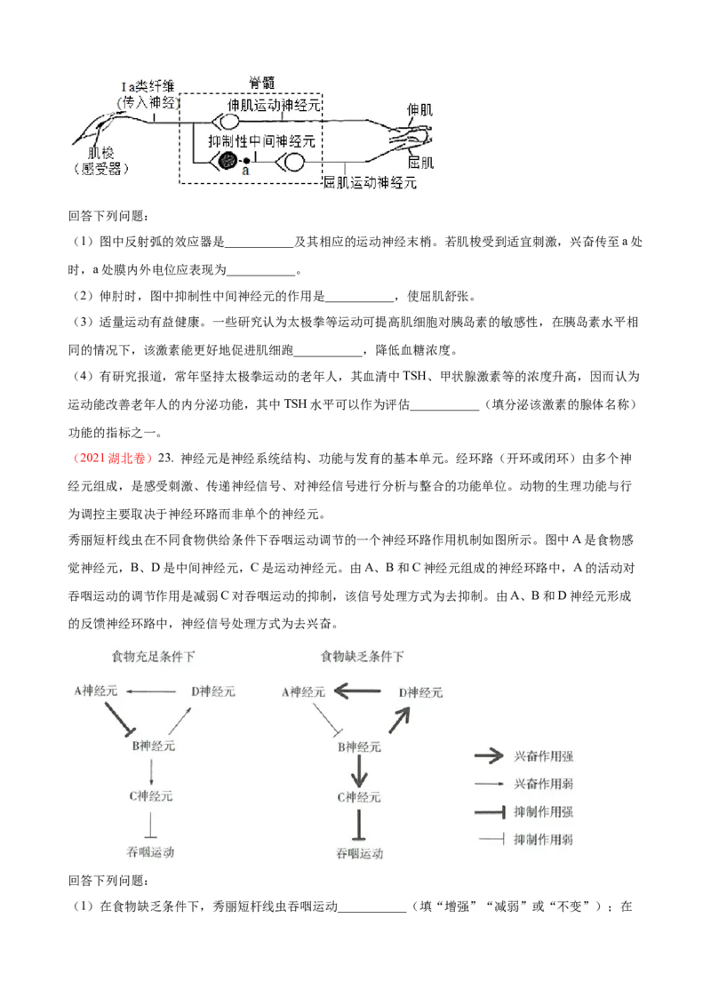 解密11神经调节（讲义)（学生版）_新高考复习资料_2023年新高考复习资料_二轮复习_高频考点解密2023年高考生物二轮复习讲义+分层训练（全国通用）288808838