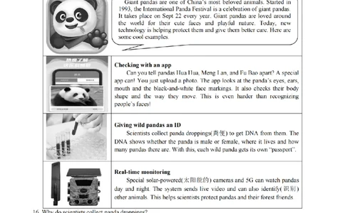 英语卷-2603浙江省初中名校发展共同体3月一模_中考押题2026《中考押题》系列（9科全套实时更新中）_浙江2026版中考《浙江一模二模》多地区全套（浙江）