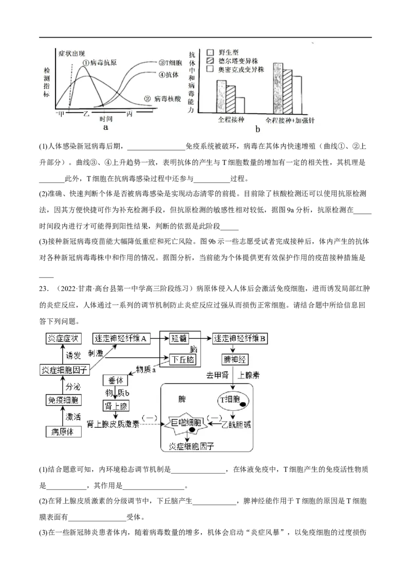 解密13免疫调节（分层训练)（原卷版）_通用版（老高考）复习资料_2023年复习资料_二轮复习_高频考点解密2023年高考生物二轮复习讲义+分层训练（全国通用）
