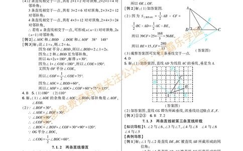 高分突破-数学-7下-详细参考答案_2026中考押题卷合集_2026新中考中考全科资料_2026春初中数学七年级下册《高分突破》含答案（人教版）(1)
