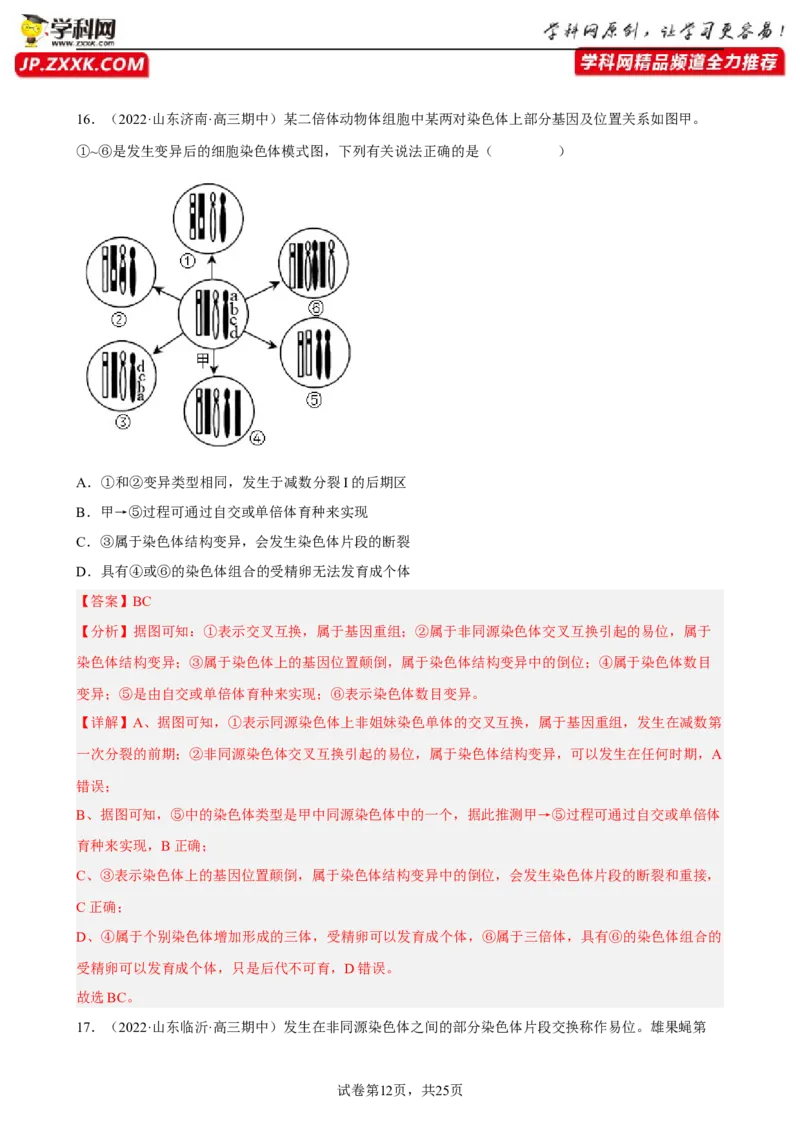 解密09生物的变异（分层训练)（解析版）_新高考复习资料_2023年新高考复习资料_二轮复习_高频考点解密2023年高考生物二轮复习讲义+分层训练（全国通用）288808838