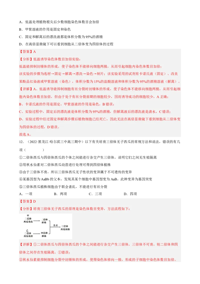 解密09生物的变异（分层训练)（解析版）_新高考复习资料_2023年新高考复习资料_二轮复习_高频考点解密2023年高考生物二轮复习讲义+分层训练（全国通用）288808838