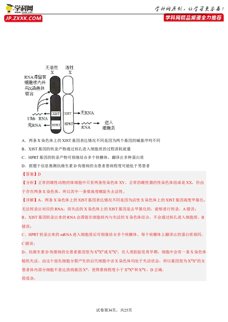 解密09生物的变异（分层训练)（解析版）_新高考复习资料_2023年新高考复习资料_二轮复习_高频考点解密2023年高考生物二轮复习讲义+分层训练（全国通用）288808838
