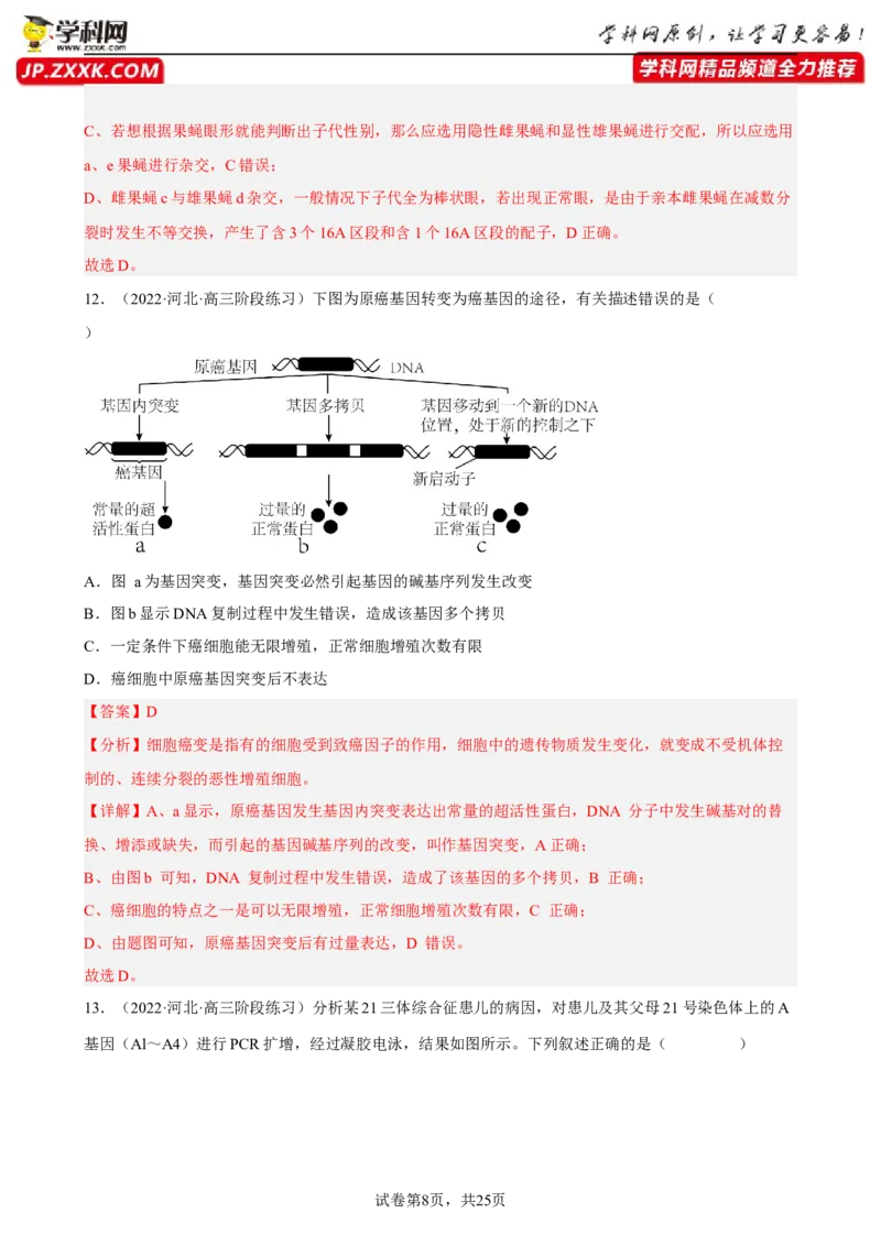 解密09生物的变异（分层训练)（解析版）_新高考复习资料_2023年新高考复习资料_二轮复习_高频考点解密2023年高考生物二轮复习讲义+分层训练（全国通用）288808838