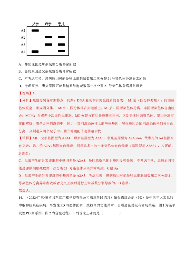 解密09生物的变异（分层训练)（解析版）_新高考复习资料_2023年新高考复习资料_二轮复习_高频考点解密2023年高考生物二轮复习讲义+分层训练（全国通用）288808838