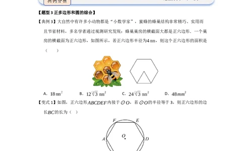 第06正多边形和圆（知识解读题型精讲随堂检测）（学生版）_人教版数学九年级上册_版本二_九年级数学上册（人教版）_知识解读与题型专练-V14_2026版