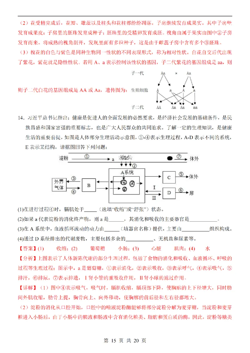 2025中考(会考)生物考前押题卷（辽宁卷）_幼小初教辅资料_中考_2025中考各科押题卷+模拟卷（含全国）