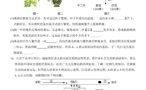 2025中考(会考)生物考前押题卷（辽宁卷）_幼小初教辅资料_中考_2025中考各科押题卷+模拟卷（含全国）
