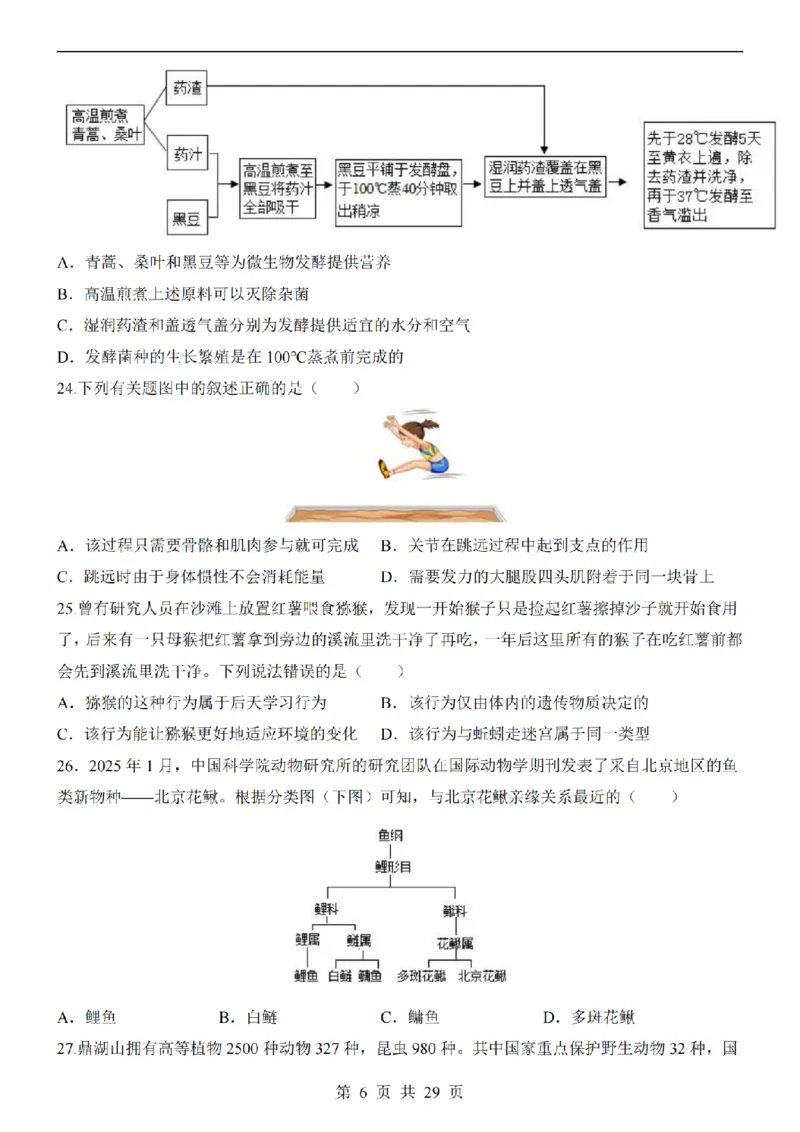 2025中考(会考)生物考前押题卷（广州卷）_幼小初教辅资料_中考_2025中考各科押题卷+模拟卷（含全国）