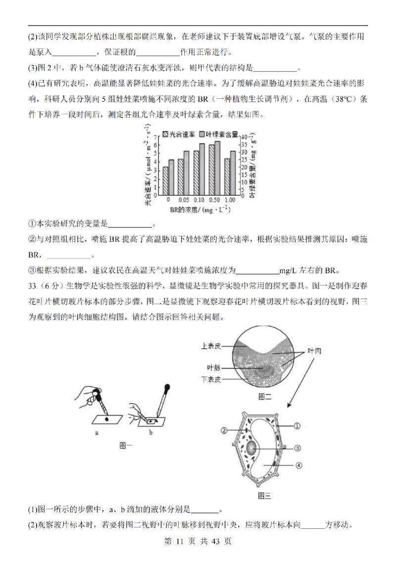 2025中考(会考)生物考前押题卷（青岛卷）_幼小初教辅资料_中考_2025中考各科押题卷+模拟卷（含全国）