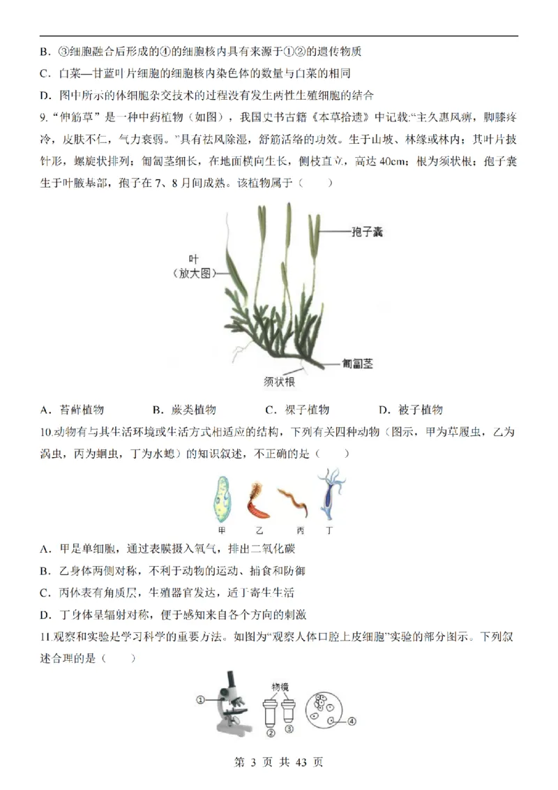2025中考(会考)生物考前押题卷（青岛卷）_幼小初教辅资料_中考_2025中考各科押题卷+模拟卷（含全国）