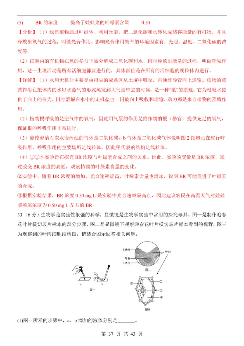 2025中考(会考)生物考前押题卷（青岛卷）_幼小初教辅资料_中考_2025中考各科押题卷+模拟卷（含全国）