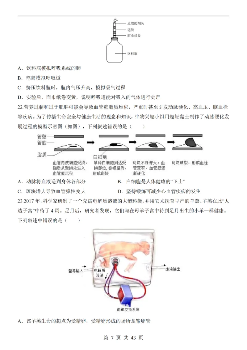 2025中考(会考)生物考前押题卷（青岛卷）_幼小初教辅资料_中考_2025中考各科押题卷+模拟卷（含全国）