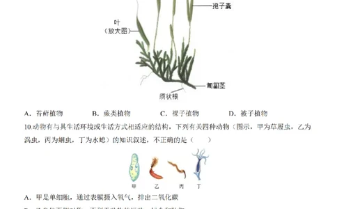 2025中考(会考)生物考前押题卷（青岛卷）_幼小初教辅资料_中考_2025中考各科押题卷+模拟卷（含全国）