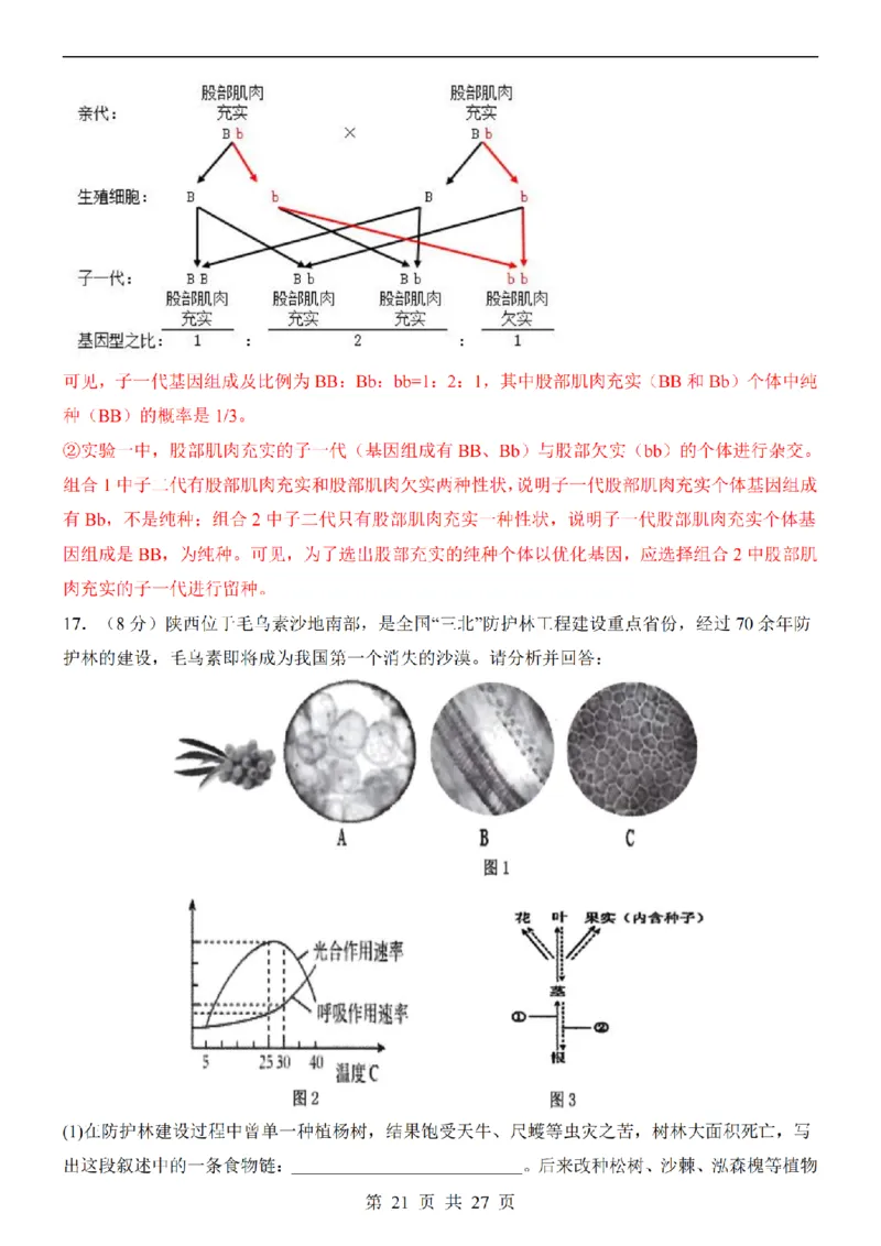 2025中考(会考)生物考前押题卷（陕西卷）_幼小初教辅资料_中考_2025中考各科押题卷+模拟卷（含全国）