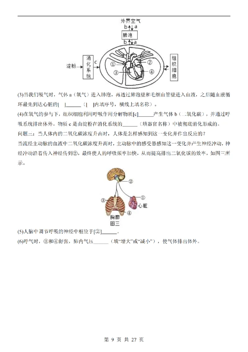 2025中考(会考)生物考前押题卷（陕西卷）_幼小初教辅资料_中考_2025中考各科押题卷+模拟卷（含全国）