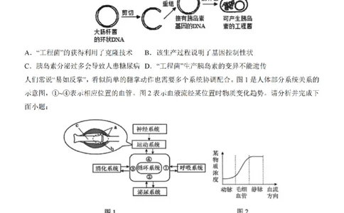 2025中考(会考)生物考前押题卷（陕西卷）_幼小初教辅资料_中考_2025中考各科押题卷+模拟卷（含全国）