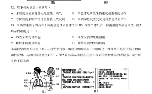 2025中考(会考)生物考前押题卷（陕西卷）_幼小初教辅资料_中考_2025中考各科押题卷+模拟卷（含全国）