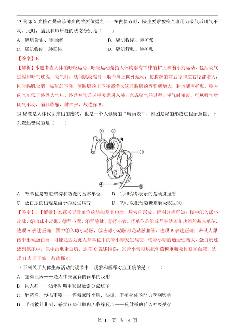 2025中考(会考)生物考前押题卷（武汉卷）_幼小初教辅资料_中考_2025中考各科押题卷+模拟卷（含全国）