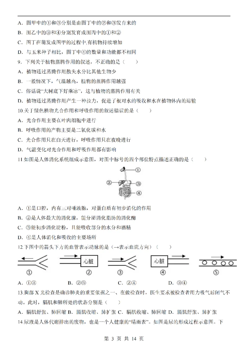 2025中考(会考)生物考前押题卷（武汉卷）_幼小初教辅资料_中考_2025中考各科押题卷+模拟卷（含全国）