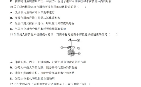 2025中考(会考)生物考前押题卷（武汉卷）_幼小初教辅资料_中考_2025中考各科押题卷+模拟卷（含全国）