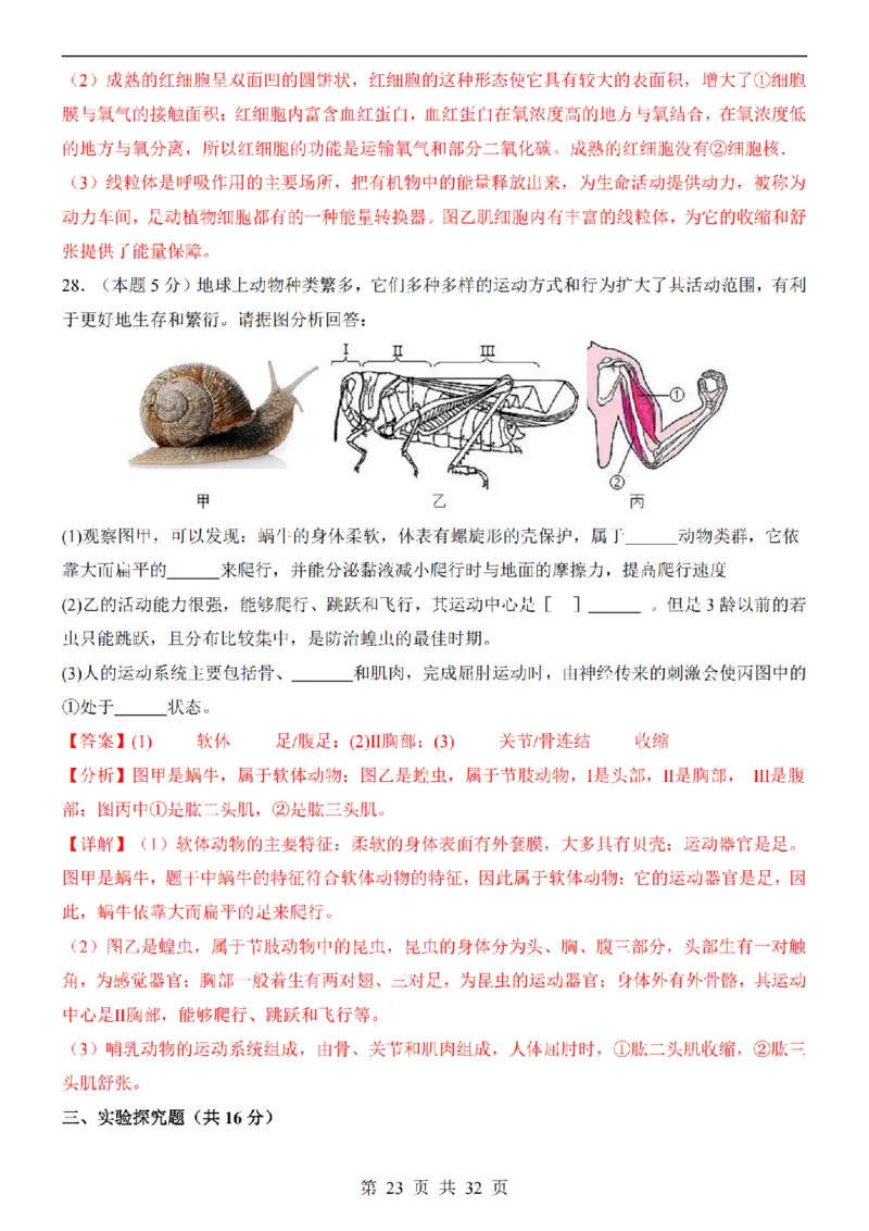 2025中考(会考)生物考前押题卷（长沙卷）_幼小初教辅资料_中考_2025中考各科押题卷+模拟卷（含全国）