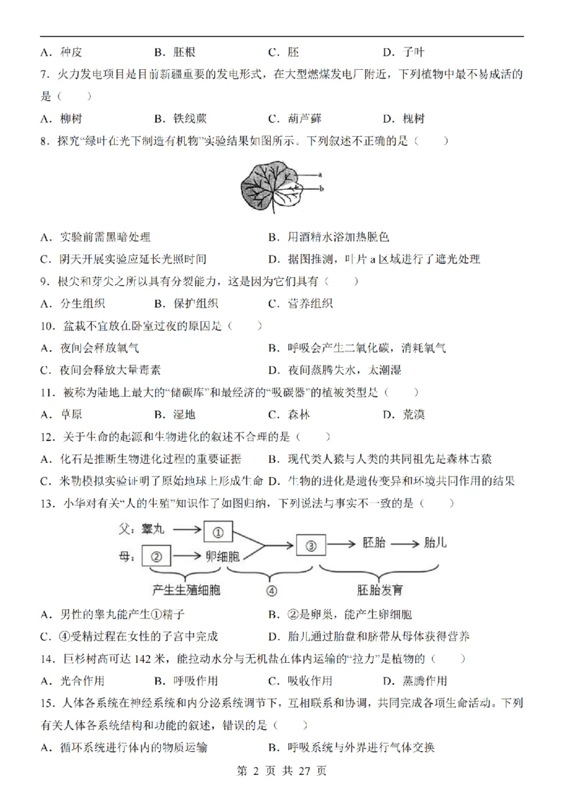2025中考(会考)生物考前押题卷（新疆卷）_幼小初教辅资料_中考_2025中考各科押题卷+模拟卷（含全国）
