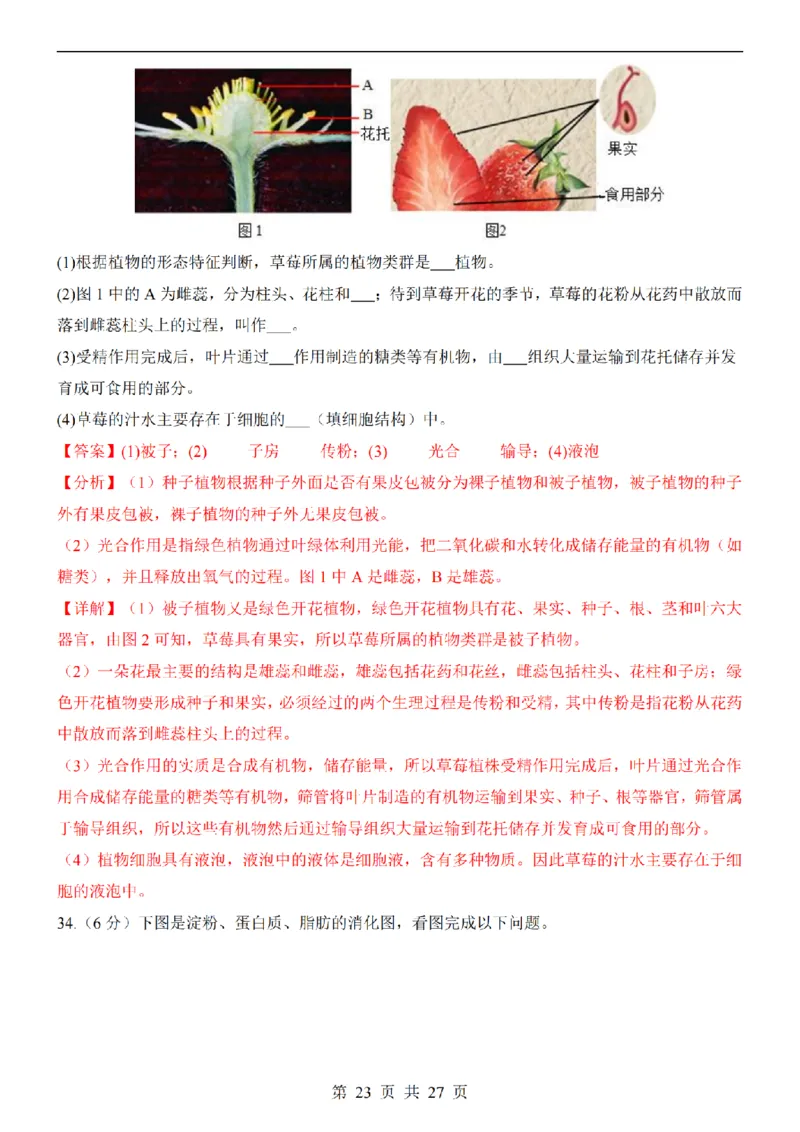 2025中考(会考)生物考前押题卷（新疆卷）_幼小初教辅资料_中考_2025中考各科押题卷+模拟卷（含全国）