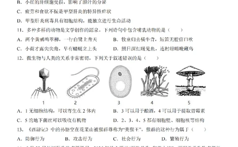2025中考(会考)生物考前押题卷（河南卷）_幼小初教辅资料_中考_2025中考各科押题卷+模拟卷（含全国）