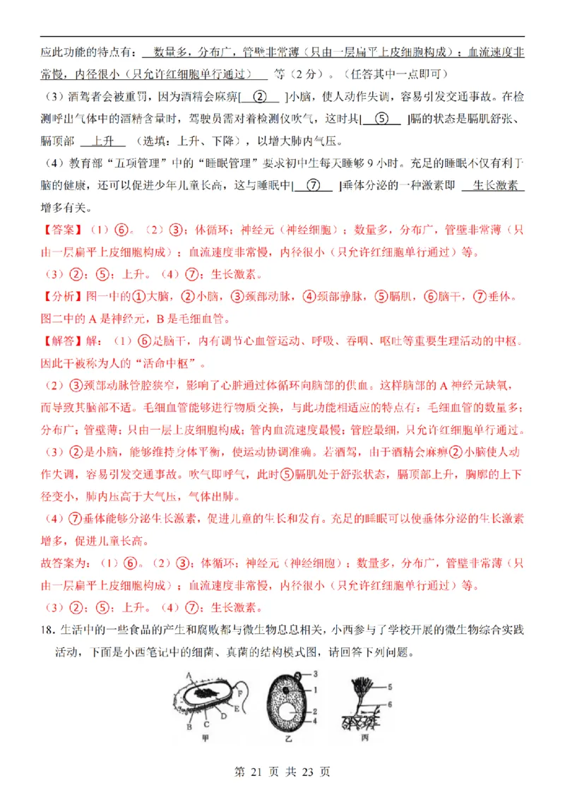2025中考(会考)生物考前押题卷（山西卷）_幼小初教辅资料_中考_2025中考各科押题卷+模拟卷（含全国）