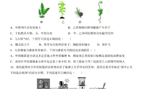 2025中考(会考)生物考前押题卷（广西卷）_幼小初教辅资料_中考_2025中考各科押题卷+模拟卷（含全国）
