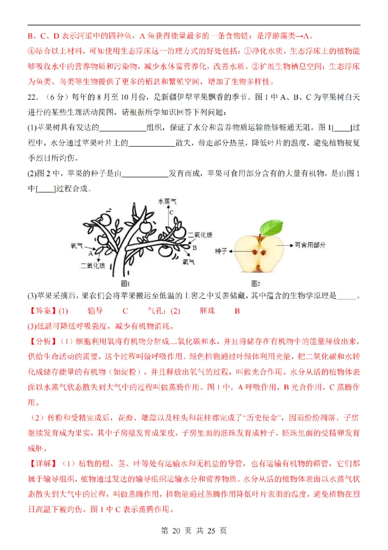 2025中考(会考)生物考前押题卷（重庆卷）_幼小初教辅资料_中考_2025中考各科押题卷+模拟卷（含全国）