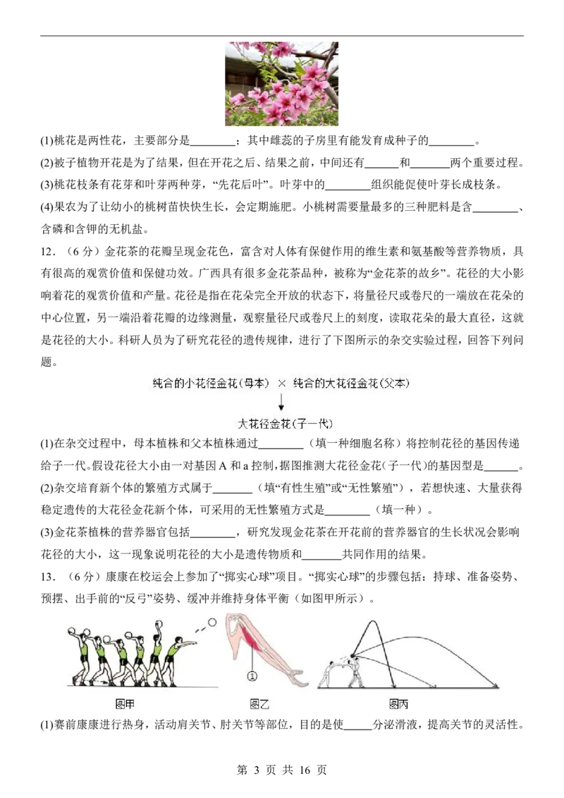 2025中考(会考)生物考前押题卷（西宁卷）_幼小初教辅资料_中考_2025中考各科押题卷+模拟卷（含全国）