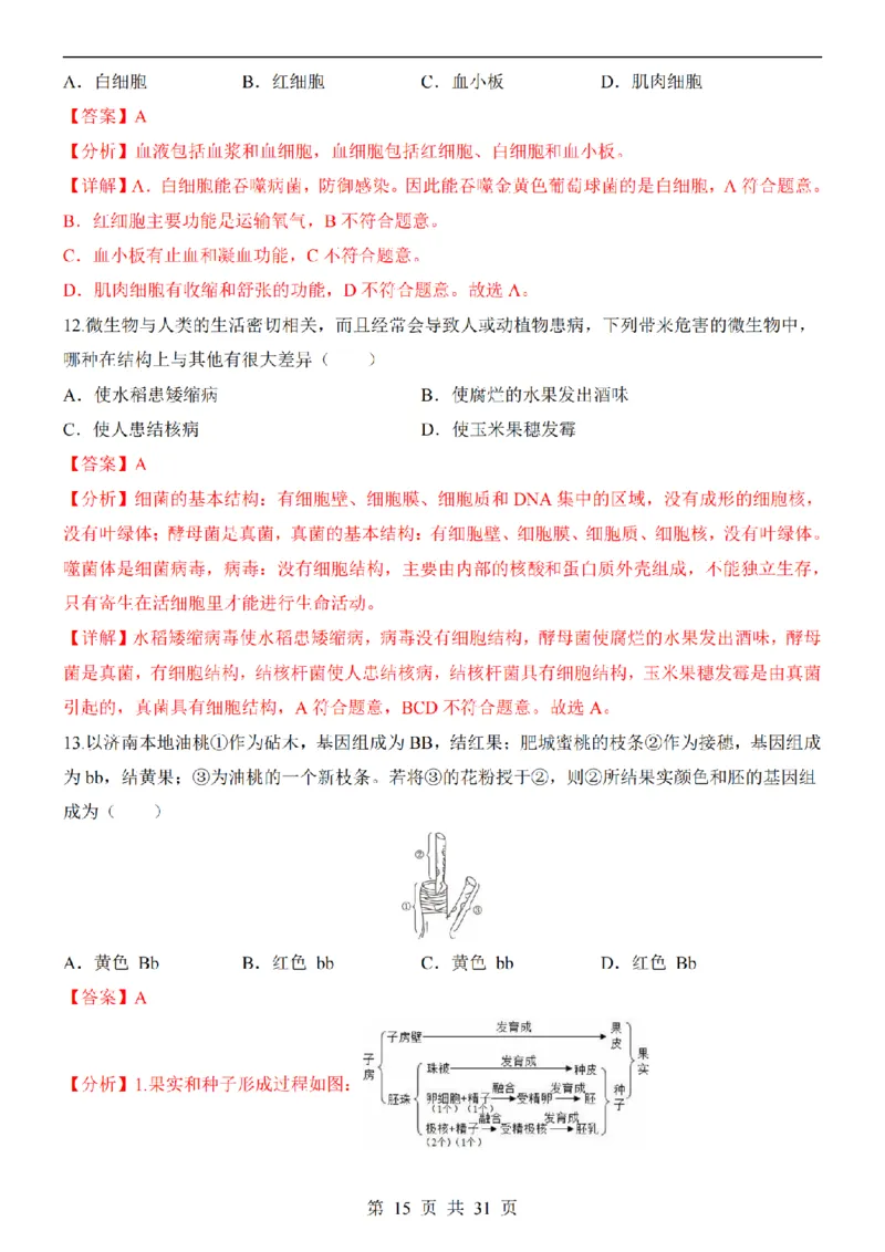 2025中考(会考)生物考前押题卷（济南卷）_幼小初教辅资料_中考_2025中考各科押题卷+模拟卷（含全国）