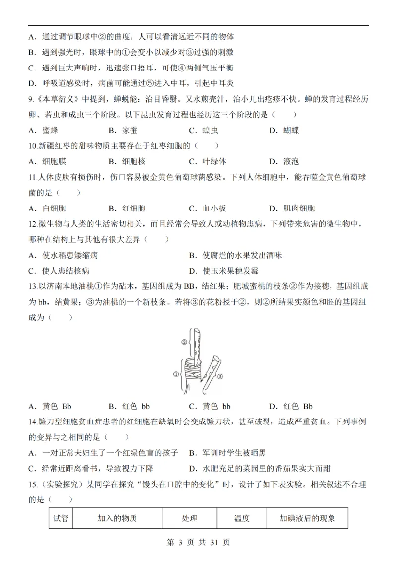2025中考(会考)生物考前押题卷（济南卷）_幼小初教辅资料_中考_2025中考各科押题卷+模拟卷（含全国）