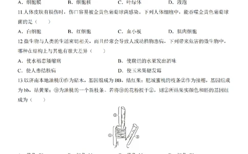 2025中考(会考)生物考前押题卷（济南卷）_幼小初教辅资料_中考_2025中考各科押题卷+模拟卷（含全国）