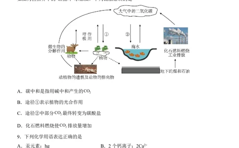 2025中考化学考前模拟卷01（全国通用）_幼小初教辅资料_中考_2025中考各科押题卷+模拟卷（含全国）