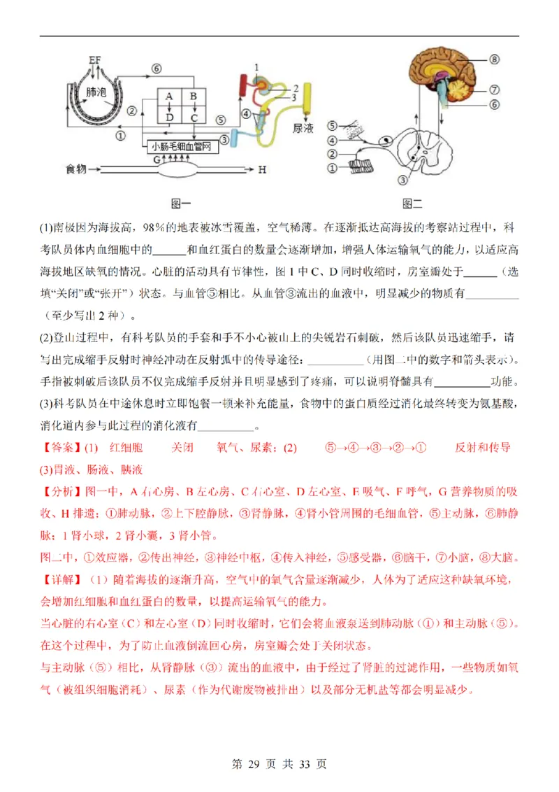 2025中考(会考)生物考前押题卷（广东卷）_幼小初教辅资料_中考_2025中考各科押题卷+模拟卷（含全国）