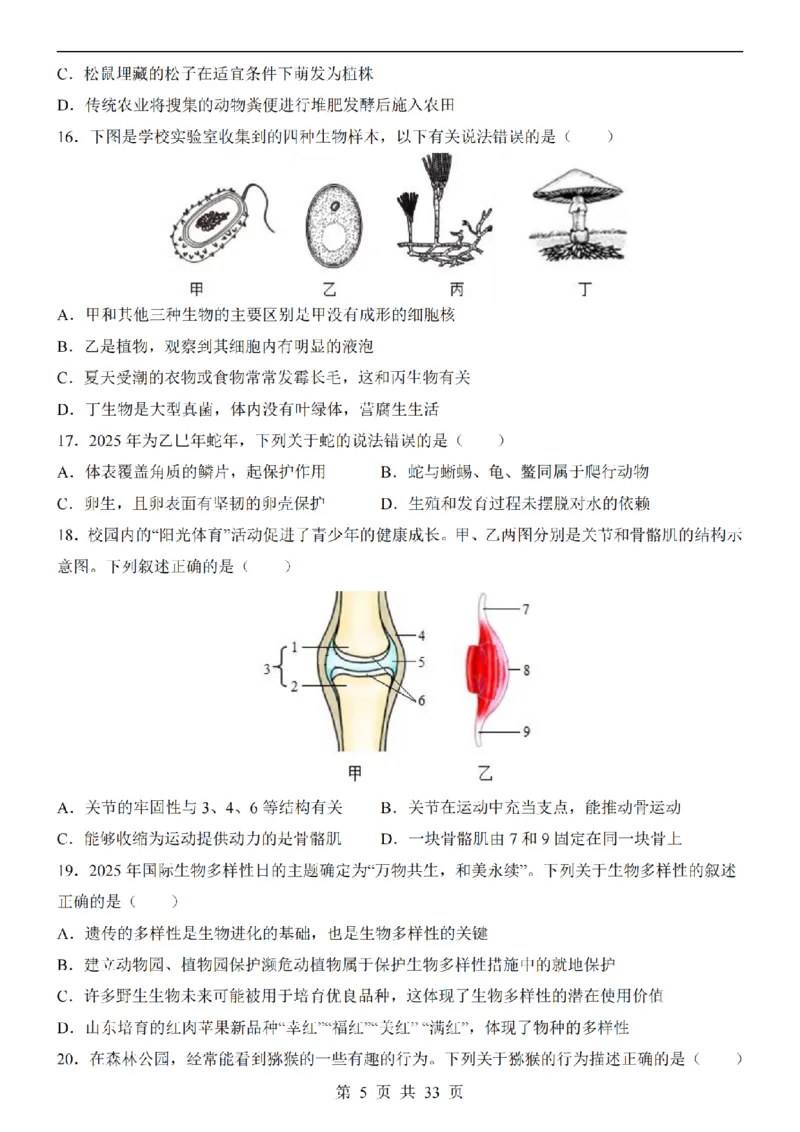 2025中考(会考)生物考前押题卷（广东卷）_幼小初教辅资料_中考_2025中考各科押题卷+模拟卷（含全国）