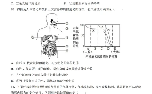 2025中考(会考)生物考前押题卷（广东卷）_幼小初教辅资料_中考_2025中考各科押题卷+模拟卷（含全国）
